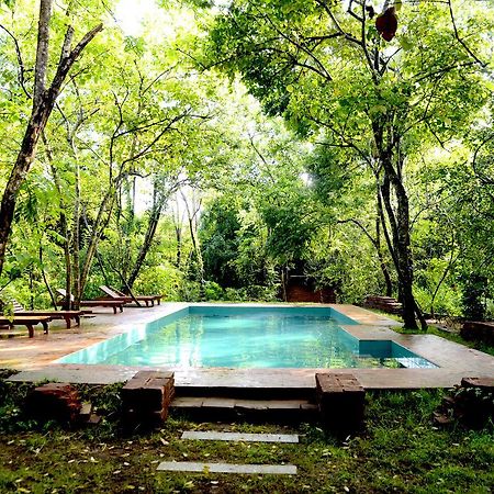 فندق Mahagedara Wellness Retreat Avudangawa المظهر الخارجي الصورة