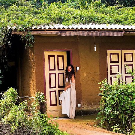 فندق Mahagedara Wellness Retreat Avudangawa المظهر الخارجي الصورة