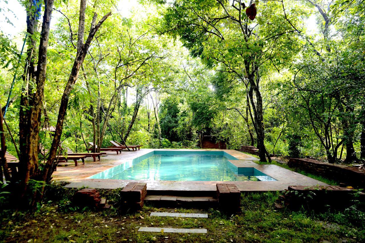 فندق Mahagedara Wellness Retreat Avudangawa المظهر الخارجي الصورة