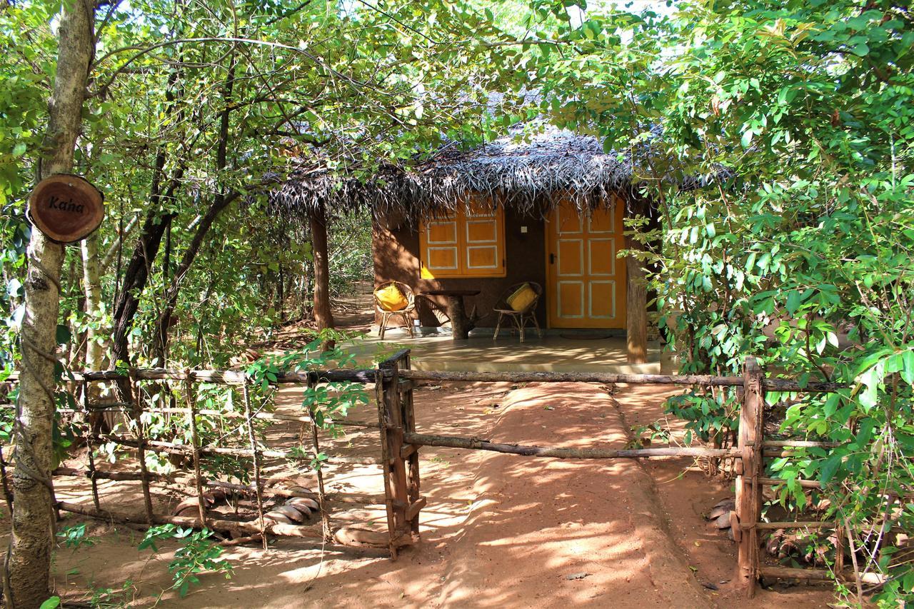 فندق Mahagedara Wellness Retreat Avudangawa المظهر الخارجي الصورة