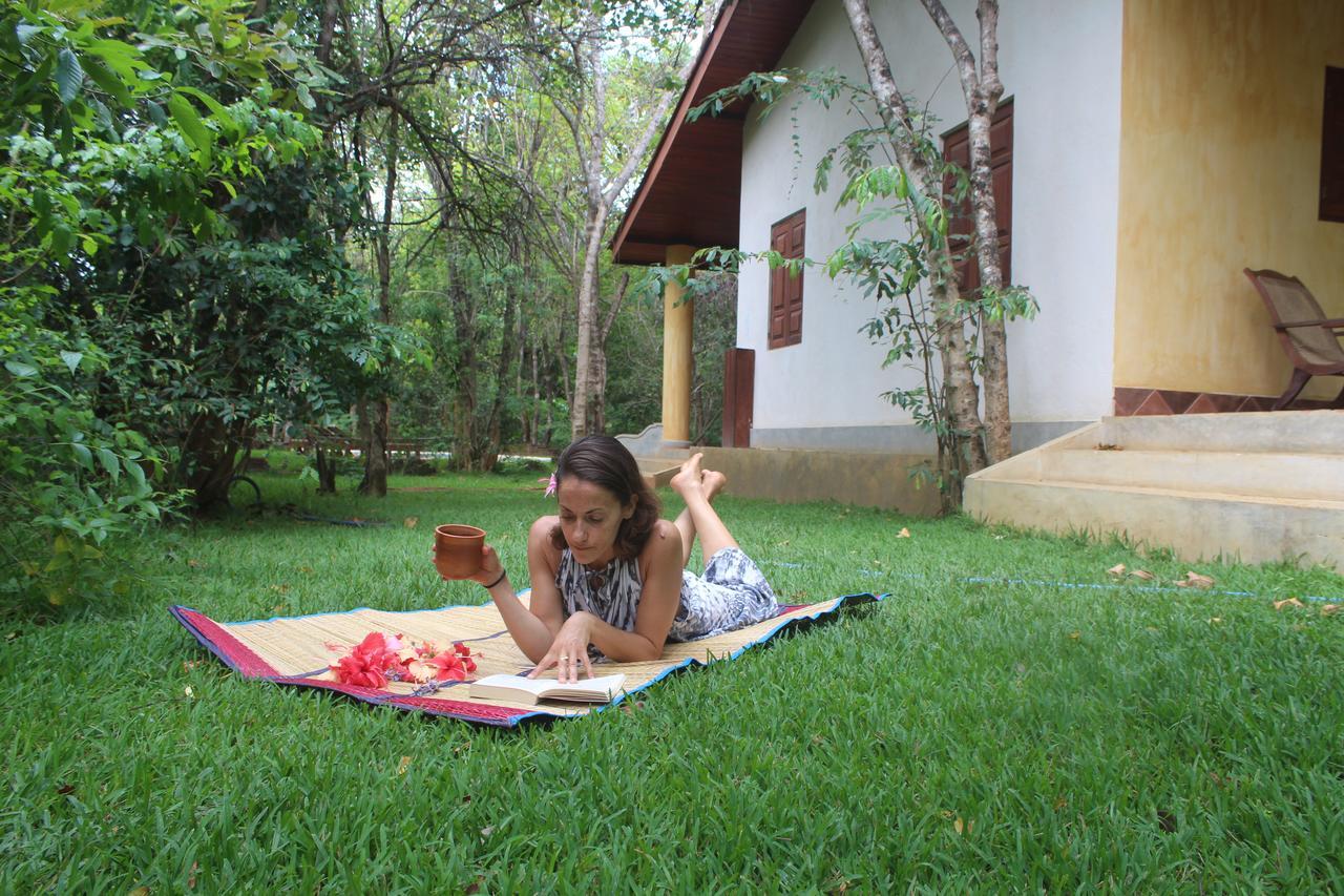 فندق Mahagedara Wellness Retreat Avudangawa المظهر الخارجي الصورة