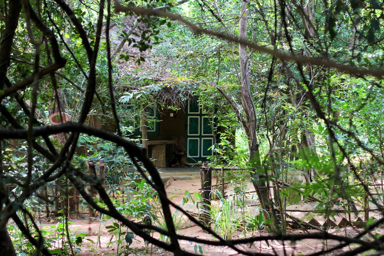 فندق Mahagedara Wellness Retreat Avudangawa المظهر الخارجي الصورة
