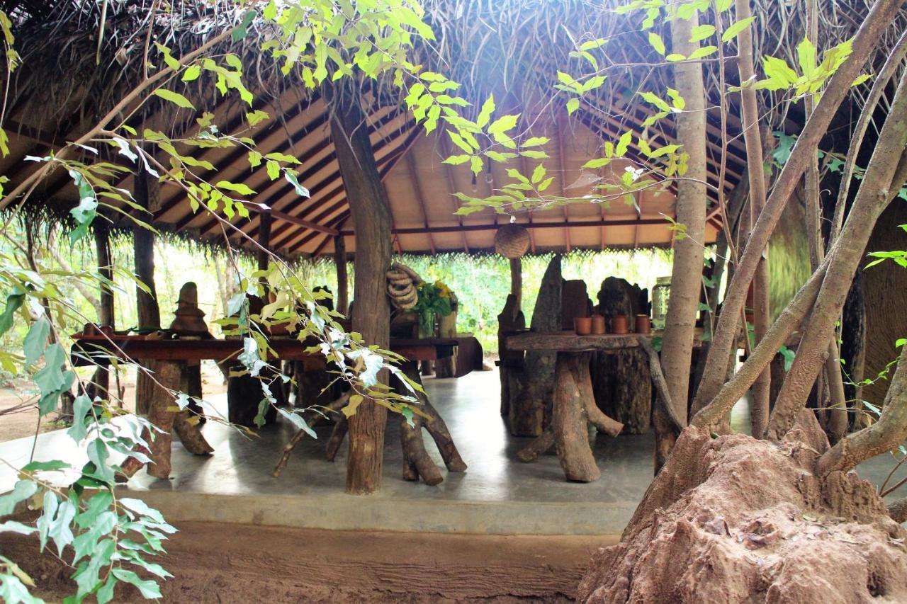 فندق Mahagedara Wellness Retreat Avudangawa المظهر الخارجي الصورة