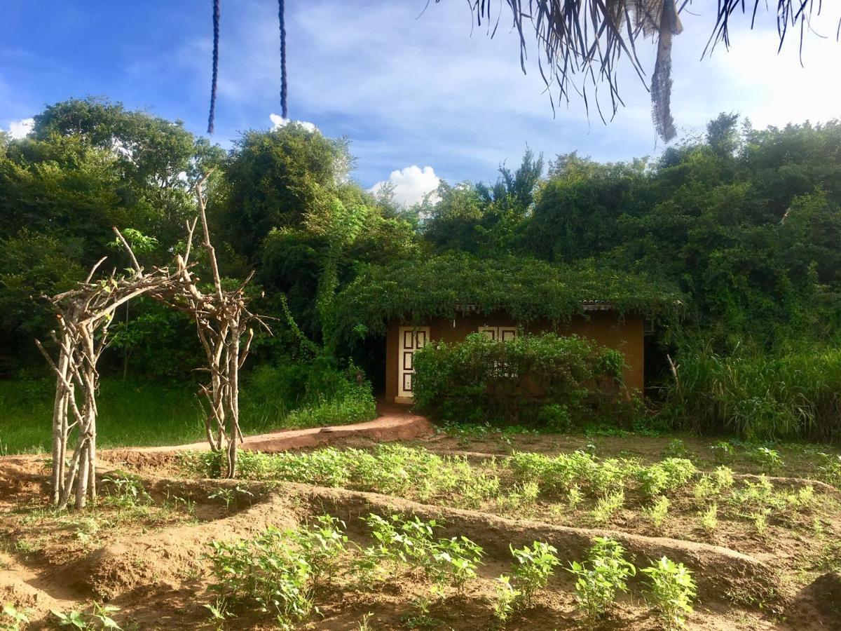 فندق Mahagedara Wellness Retreat Avudangawa المظهر الخارجي الصورة